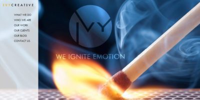 web and mobile development, UIUX designing