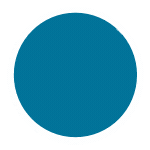 WordPress Icon